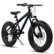 V20235 20 Inch Fat Tire Bike 7 Speed Mountain Bike, Dual Disc Brakes, High Carbon Steel Frame, Front Suspension, Mountain Buggy, City Commuter City Bike, Fat Tire Bike