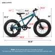 V20235 20 Inch Fat Tire Bike 7 Speed Mountain Bike, Dual Disc Brakes, High Carbon Steel Frame, Front Suspension, Mountain Buggy, City Commuter City Bike, Fat Tire Bike